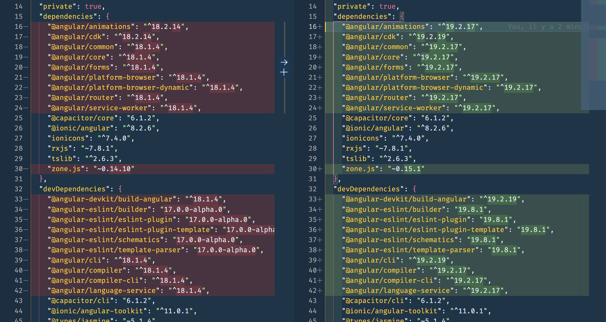 package.json diff after Angular 19 update
